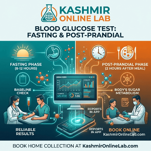 Blood Glucose Test (Fasting & Post-Prandial/PP), Plasma 42 418481