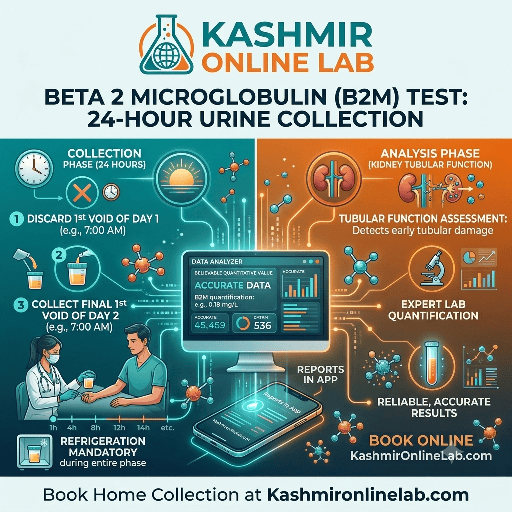 Beta 2 Microglobulin Urine 24H 33 418488