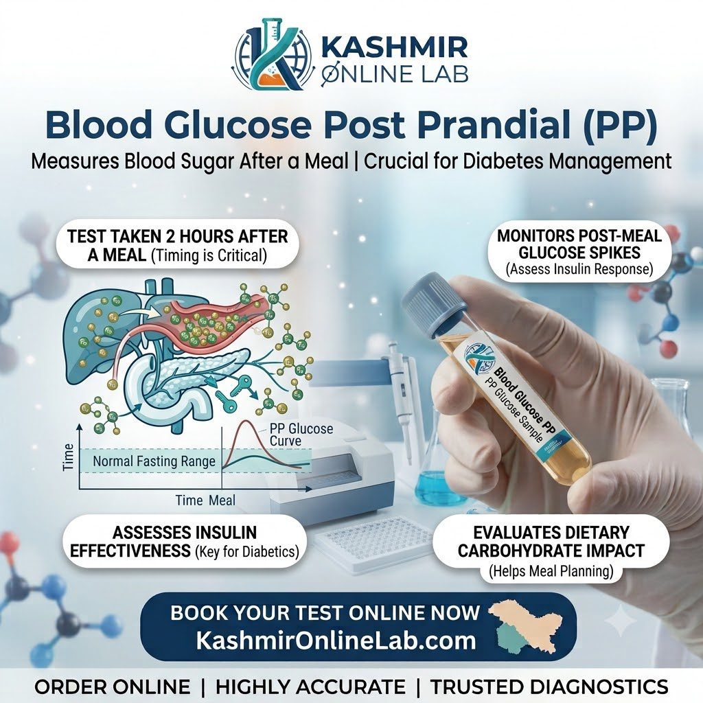 Blood Glucose PP 40 BS PP