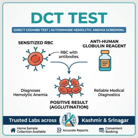 Direct Coombs Test (DCT)