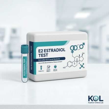 Estradiol (E2) Test