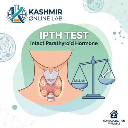 Intact Parathyroid Hormone (IPTH) Test