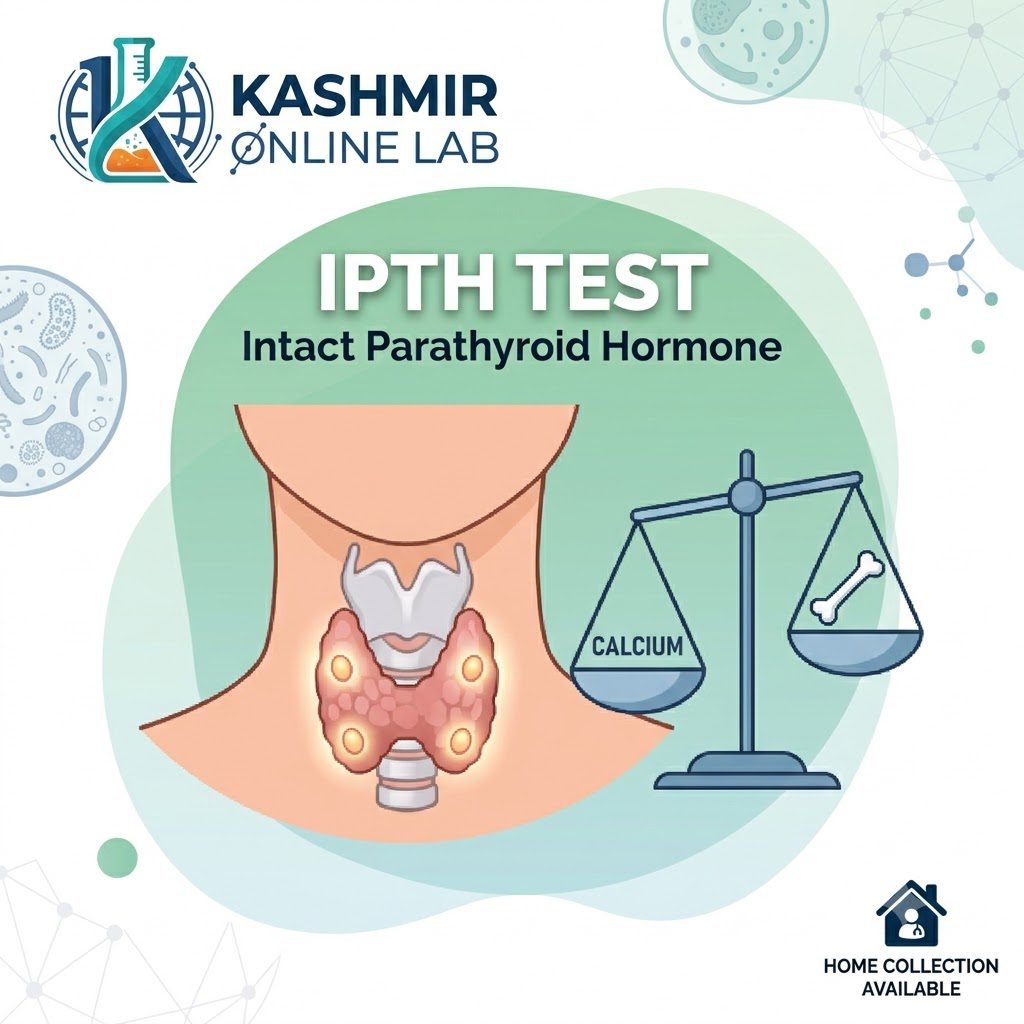 Intact Parathyroid Hormone (IPTH) Test 2 IPTH test