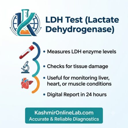 Lactate Dehydrogenase (LDH) Test