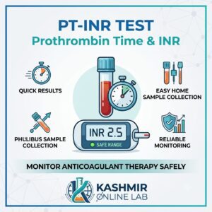 Prothrombin Time (PT) INR (International Normalized Ratio) Test