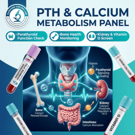 Parathyroid Hormone (PTH) Test