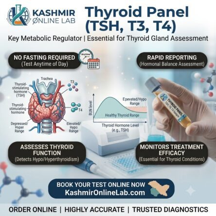Thyroid Function Test (TFT) Panel – T3, T4, TSH, Serum
