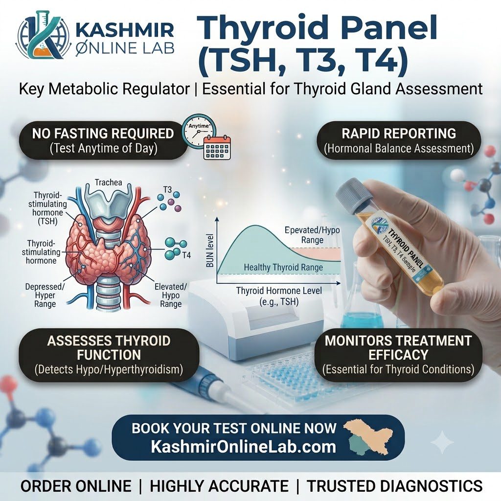 Thyroid Function Test (TFT) Panel – T3, T4, TSH, Serum 62 TFT