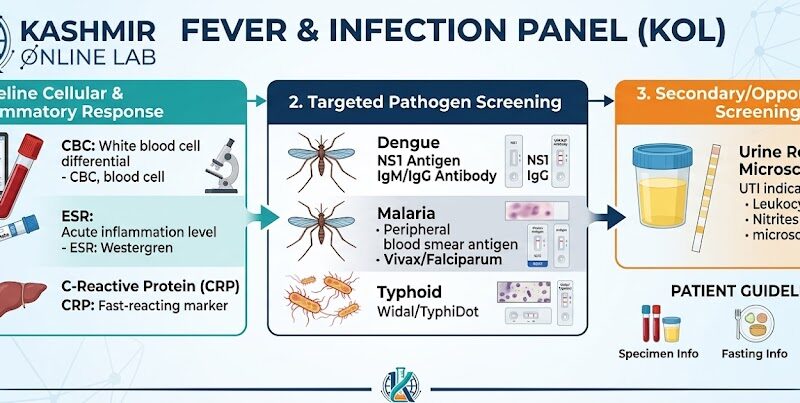 Why Guessing Your Fever is Dangerous: The Smart Way to Get Accurate Answers Fast Why Guessing Your Fever is Dangerous: The Smart Way to Get Accurate Answers Fast