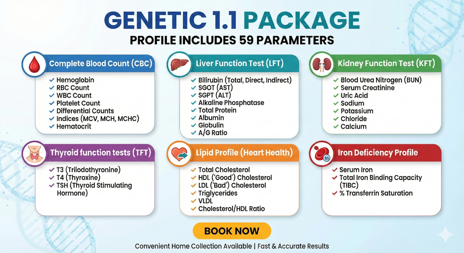 Kashmir Starter 1.1 Wellness Profile - Image 3
