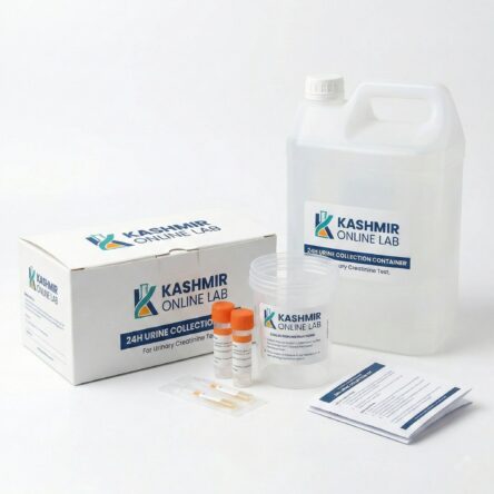 24H Urinary Creatinine