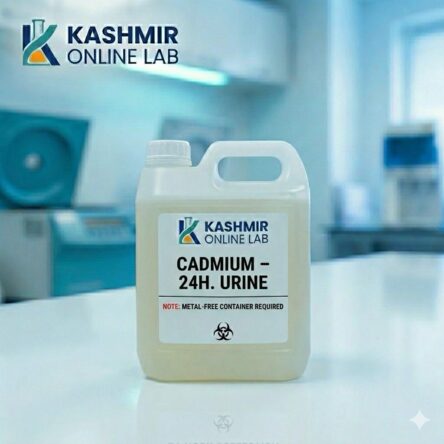 Cadmium – 24H. Urine