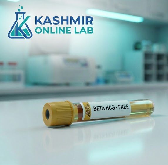 Beta Hcg - Free