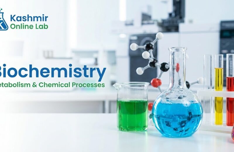 Clinical Biochemistry Clinical Biochemistry