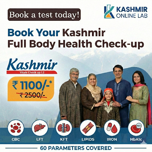 Kashmir Vital 1.2 Wellness Profile - Image 4