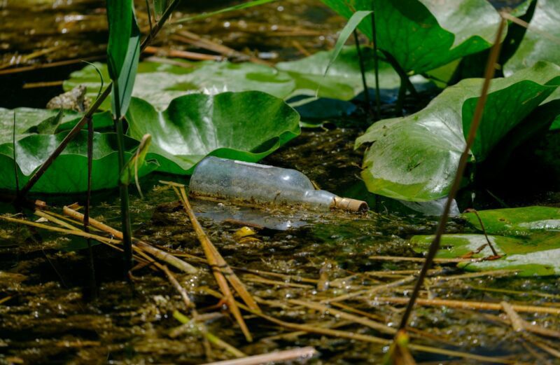 What’s in Your Glass? The Rising Threat of “Dirty Water” Diseases in Kashmir Glass bottle floating among lily pads and reeds.